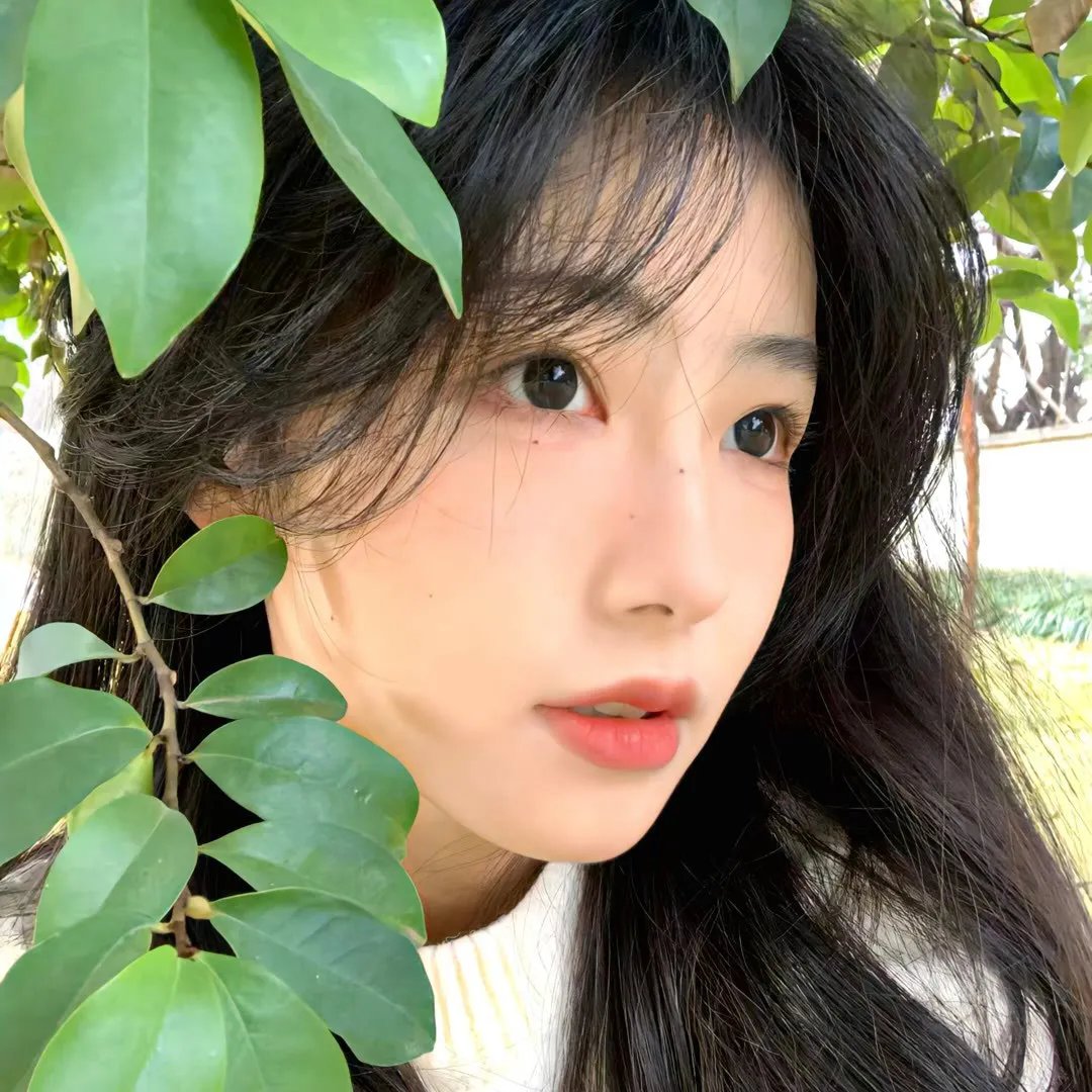 港湾第一季